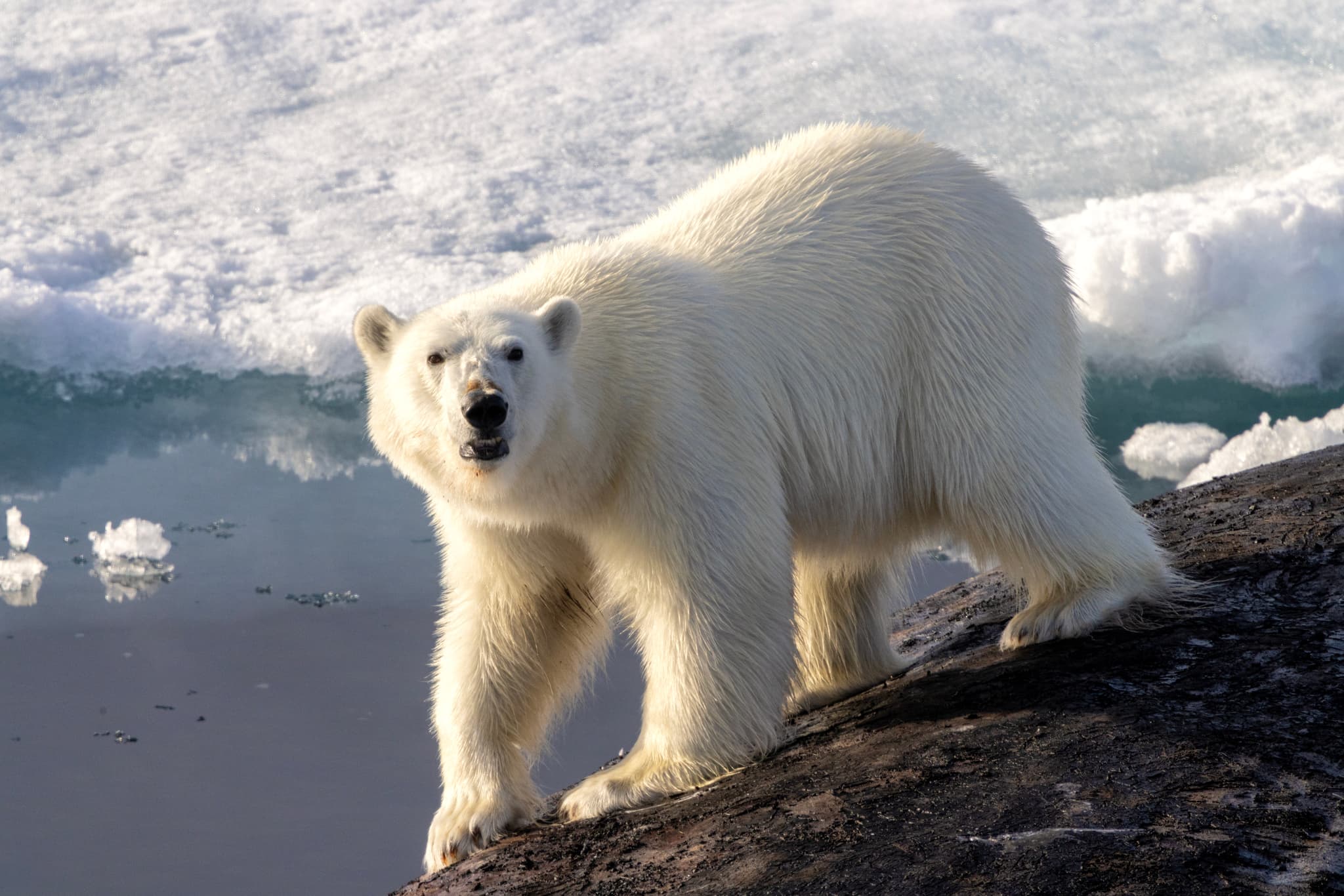 Expedition image